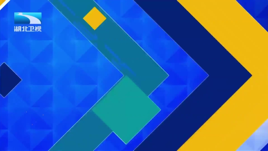 抗癌网红宝炫是冠军去世,2025年澳门一肖一码精准资料,最新正品解答落实_尊享版V5.31